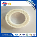Ceramic Ball Bearing (623) Heat Resistant Bearing